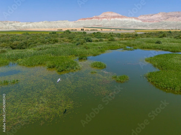 Fototapeta Nallihan Bird Sanctuary Ankara Turkey High-angle view of a tranquil wetland ecosystem with surrounding hills. An aerial shot showcases a serene wetland area, with calm water and lush green vegetation