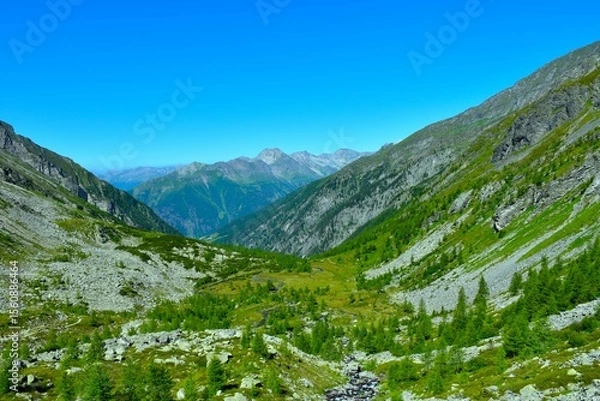 Fototapeta View of Dösen valley with a creek flowing across meadow bellow and larch trees in High Tauern mountains, Carinthia, Austria