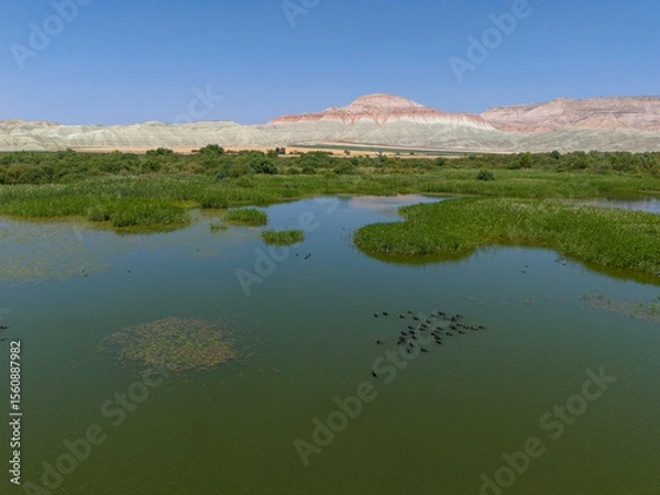 Fototapeta Panoramic view of a tranquil lake with surrounding vegetation and mountains.A serene, expansive view of a lake, likely a wetland or marsh, showcasing the tranquil water surface and surrounding vegetat