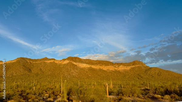 Obraz Desert landscape