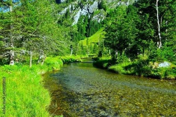 Fototapeta View of alpine creek in Dösental in High Tauern mountains, in Carinthia, Austria