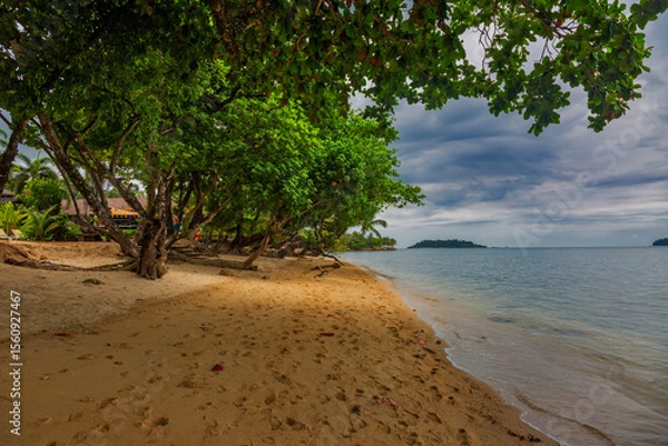 Fototapeta Trees on Kai Bae Beach under a gloomy dramatic sky
