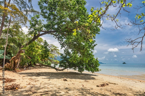 Fototapeta Trees on Kai Bae Beach under a blue sky with clouds on Koh Chang Island