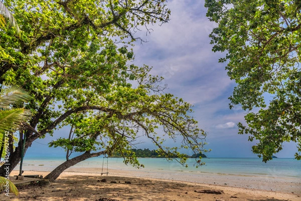 Fototapeta Trees on Kai Bae Beach under a gloomy dramatic sky