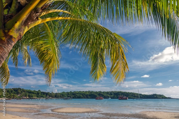 Fototapeta Beautiful landscape with palm trees and low tide sea at Bang Bao Bay, Koh Kood island