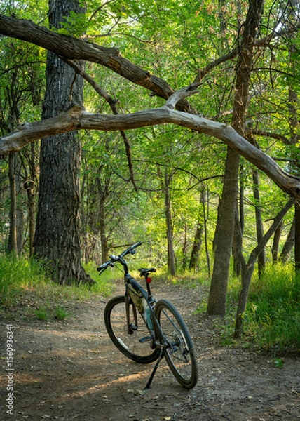 Obraz invitation to biking - a hybrid bike with kickstand, frame bag and cycling computer on a forest trail summer scenery