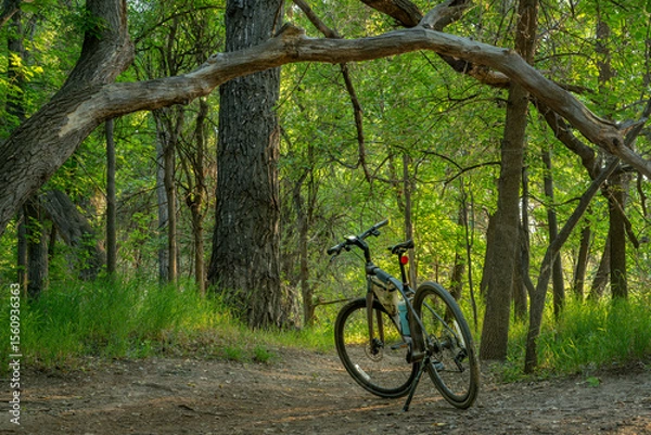 Obraz invitation to biking - a hybrid bike with kickstand, frame bag and cycling computer on a forest trail summer scenery