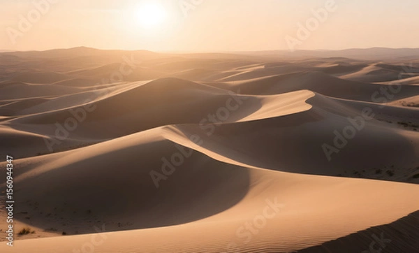 Fototapeta Sand dunes with smooth curves