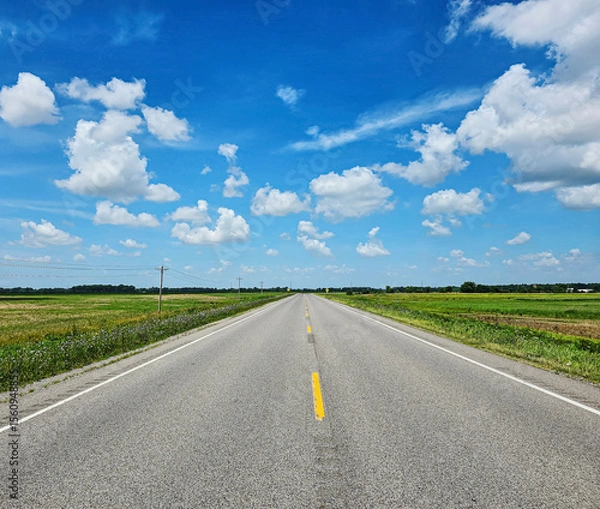 Obraz Beautiful and serene country road leading into the forest rural landscape background of a summer road trip with blue sky and white puffy clouds on a bright sunny day