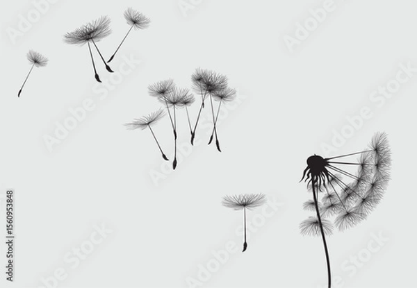 Fototapeta Wild flower dandelion in a vector style isolated. Vector flower for background, dandelion flying wall decal children's room 