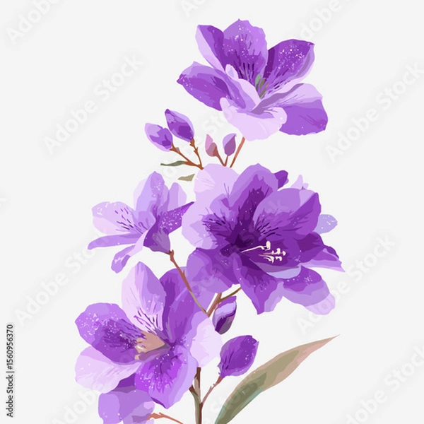 Fototapeta Vibrant purple flowers vector illustration in PNG and PSD formats for creative projects
