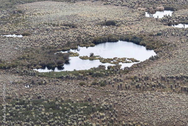 Fototapeta small lake in middle of paramo ecosystem