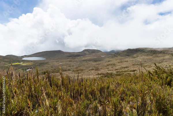 Fototapeta Sumapaz paramo landscape with fog and cloudy mountains at background