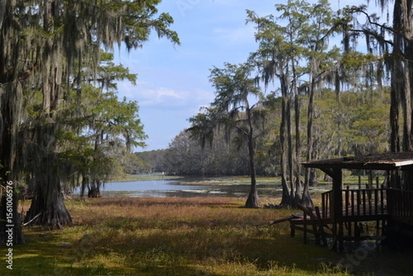 Fototapeta Peaceful lakeside View with Cypress trees at Caddo Lake