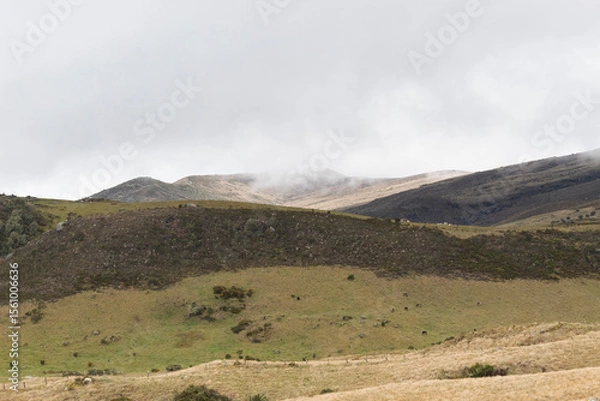Fototapeta loudy mountains with paramo ecosystem and grey sky in colombia