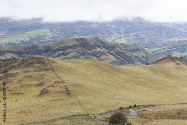 Fototapeta aerial view of colombian andean mountains countryside with fog and cattle
