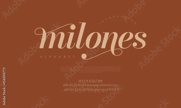 Fototapeta Modern serif font with graceful swashes and curves, great for fashion branding and posters