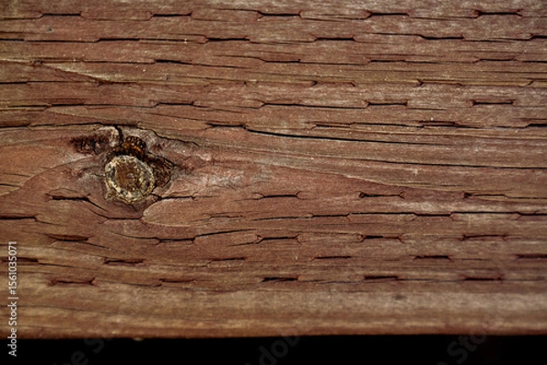 Obraz old wood texture