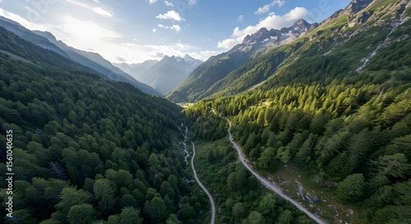 Obraz Aerial View of Serene Mountain Valley with Winding Road