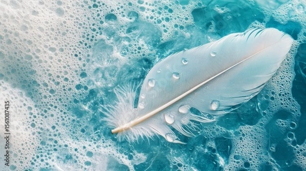 Fototapeta Transparent water droplets on white bird's feather on blue and turquoise background,  - ai