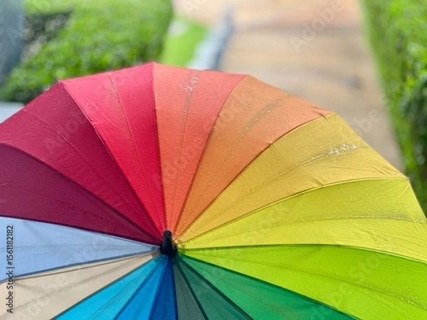 Obraz colorful umbrella in the rain