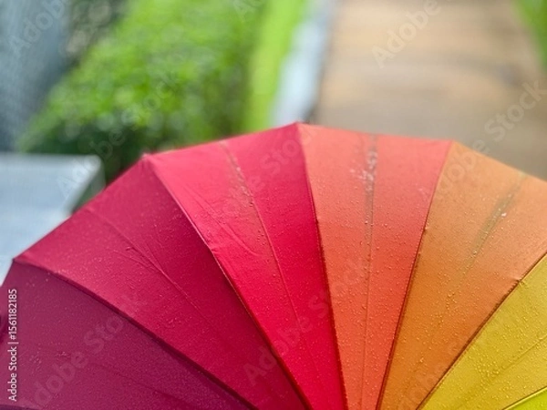 Obraz colorful umbrella on the beach