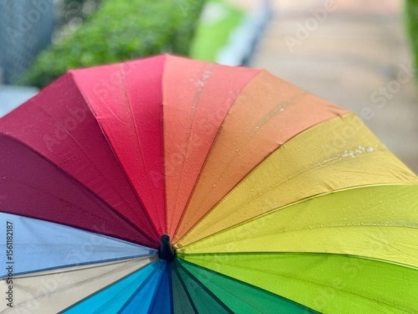 Obraz colorful umbrella on the beach
