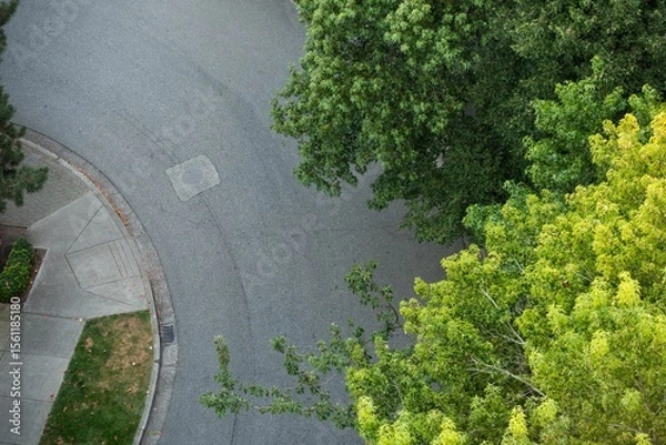 Fototapeta High angle view of trees by empty road