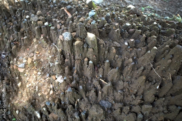 Fototapeta Small pebbles as caps on pedestal, indicator of raindrop splash erosion, called pedestal erosion