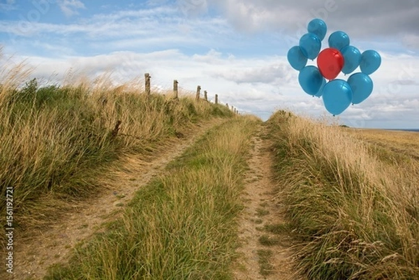 Obraz Balloons above sand dunes