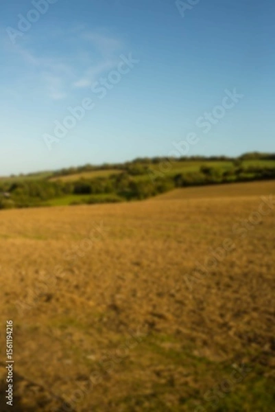 Fototapeta High angle view of field against blue sky