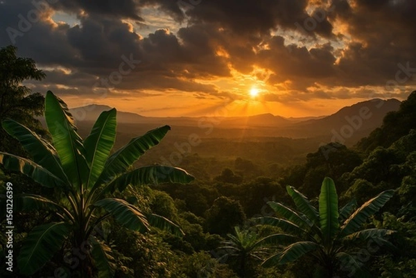 Fototapeta A stunning view of a sunset over a vast jungle, with vibrant banana leaves in the foreground, highlighting the natural beauty of the landscape