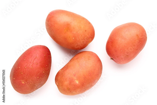 Obraz Fresh raw potatoes on white background