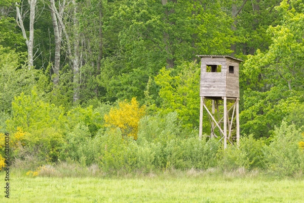Obraz wooden hunting stand at the edge of the forest