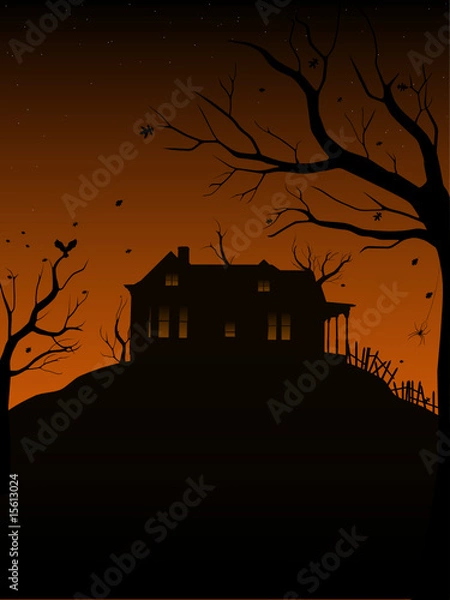 Obraz Haunted house