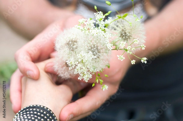 Obraz Man giving to his girlfriend a bouquet of dandelions and white flowers in the park