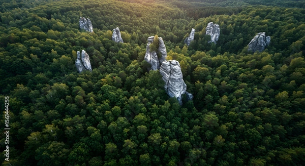 Fototapeta Aerial View of Majestic Rock Formations in Lush Forest