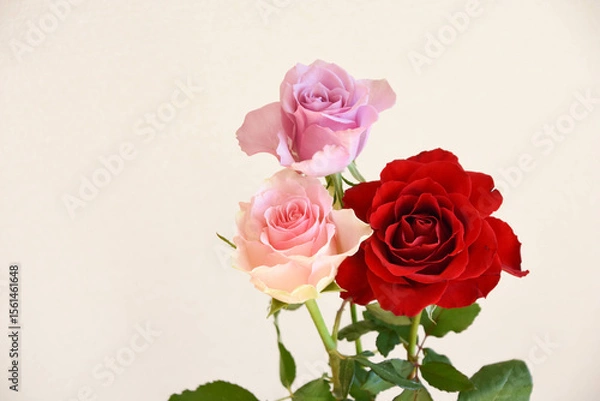 Fototapeta 三色のばら