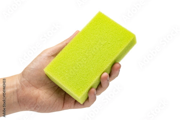 Fototapeta hand holding green sponge isolated in white background