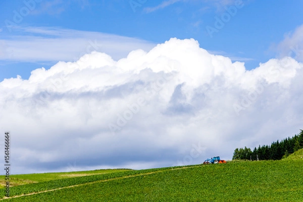 Obraz 夏雲と草の丘の上の農機