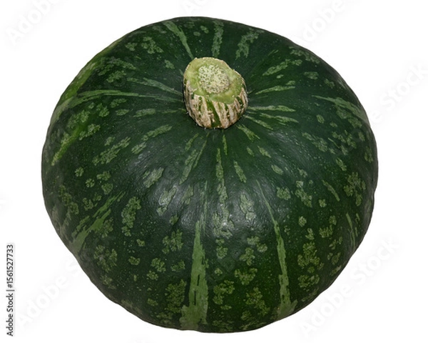 Obraz 採れたての新鮮な南瓜の画像