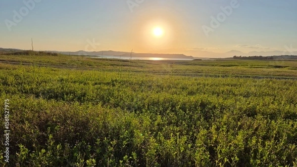 Fototapeta a beautiful sunset over the field in summer