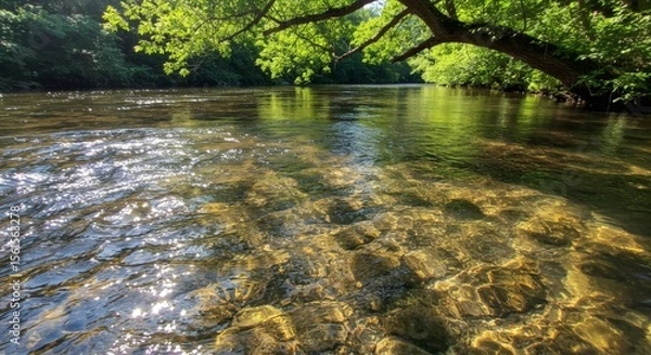 Fototapeta Serene River Scene Crystal Clear Water Flowing Under Summer Sunlight