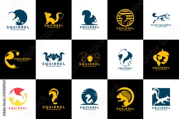 Fototapeta Set of Squirrel logo design vector template. Squirrel logo animal