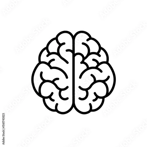 Fototapeta Human Brain Icon: A simple yet detailed line drawing of a human brain, ideal for educational materials or presentations on neurology, psychology, or cognitive science.