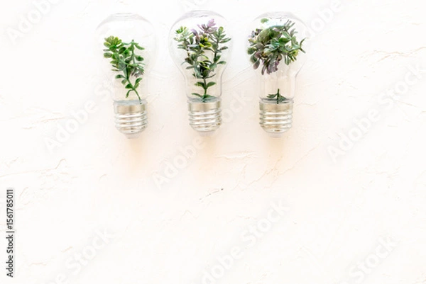Obraz Green plant in a light bulbs, top view. Symbol of eco energy and sustainable resources