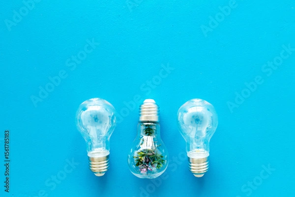 Obraz Green plant in a light bulb, top view. Renewable energy and environmental care