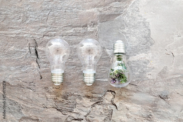 Obraz Ecology and green energy concept. Light bulb with green plant inside, top view