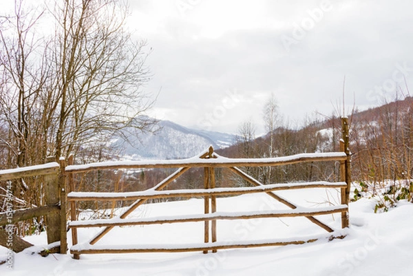 Obraz countryside landscape in winter. rustic security. wooden fence through snow covered hill. deciduous forest