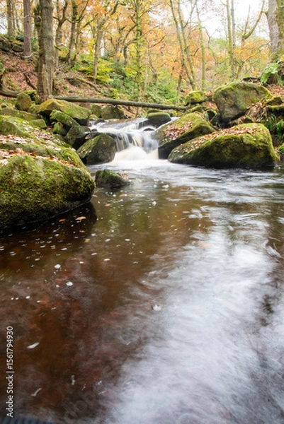 Fototapeta A fallen tree and a small cascade in Burbage Brook in autumn at Padley Gorge, Peak District